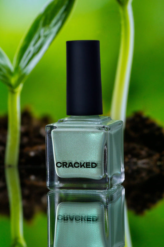 Spring Sprout - Cracked Polish